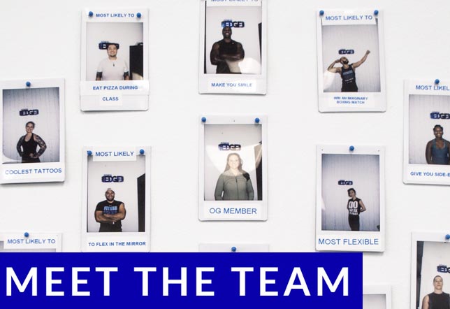 Meet The Team